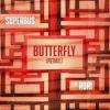 Butterfly_Superbus & RORI
